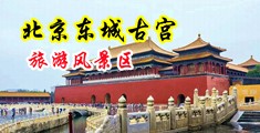 v级片中国北京-东城古宫旅游风景区